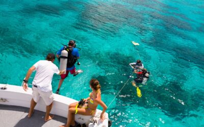 Caribbean Adventure‑Driven Stays: Snorkeling, Water Sports & Rainforest Trips from Your Villa