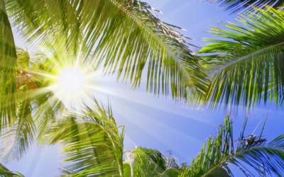 Cool Off in Style: How to Beat the Caribbean Heat